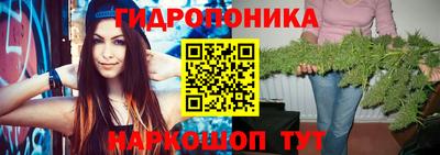 прущие грибы Дубна