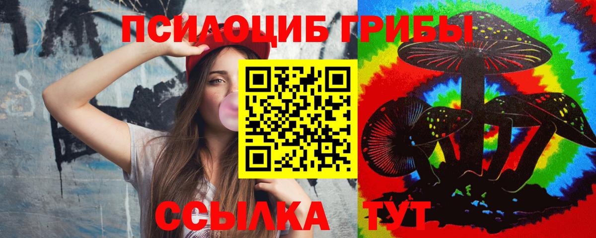 Киров  Псилоцибиновые грибы Psilocybe  Вход с VPN 